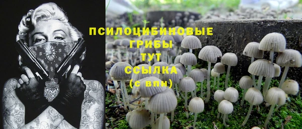 стафф Баксан