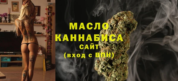 шишки Арсеньев