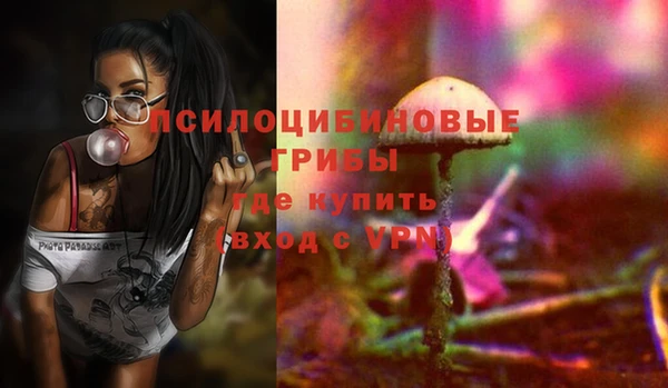 МДМА Дмитровск