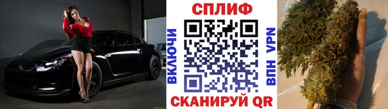 мега ТОР  Купино  Бошки Шишки Amnesia  где купить наркотик 